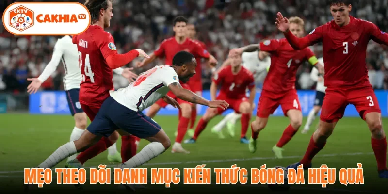 Mẹo theo dõi danh mục kiến thức bóng đá hiệu quả